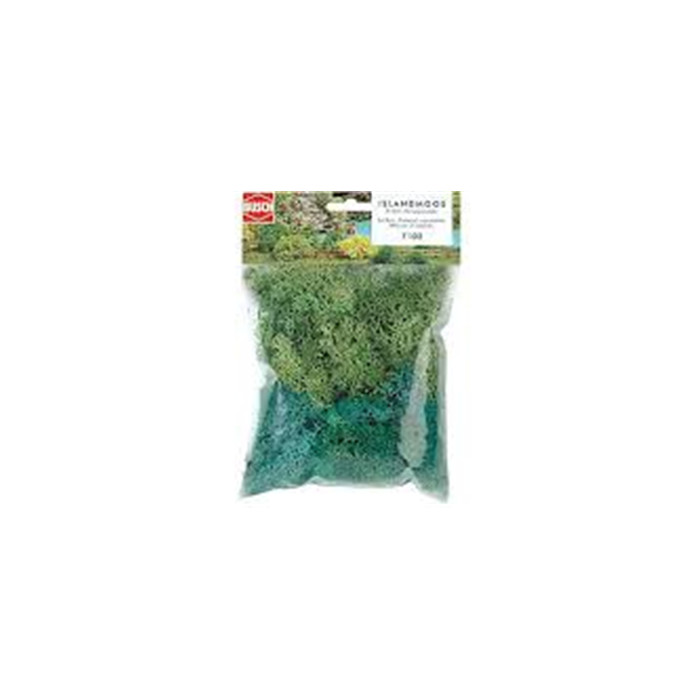 Creacorner  Herbe busch